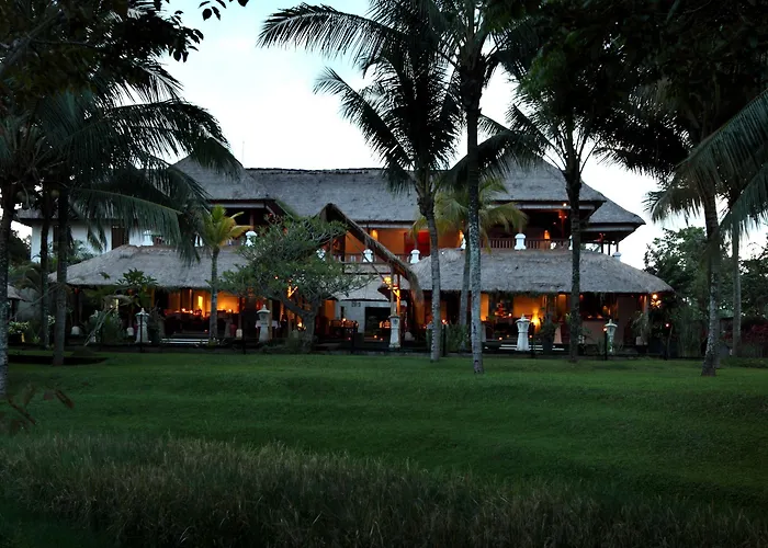 The Village &
