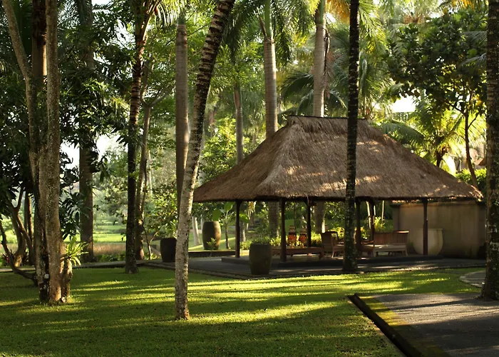 The Village & 5*